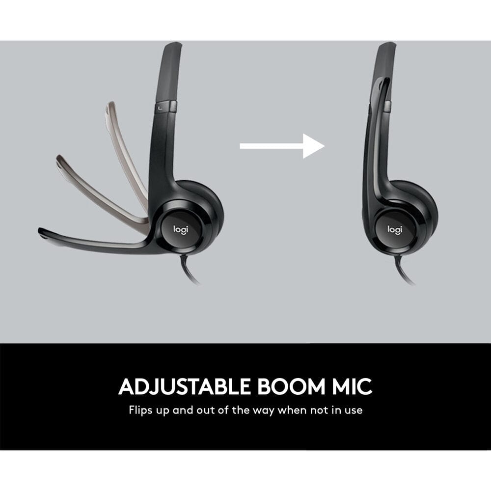 Logitech H390 USB Headset with Noise-Cancelling Mic (Black)